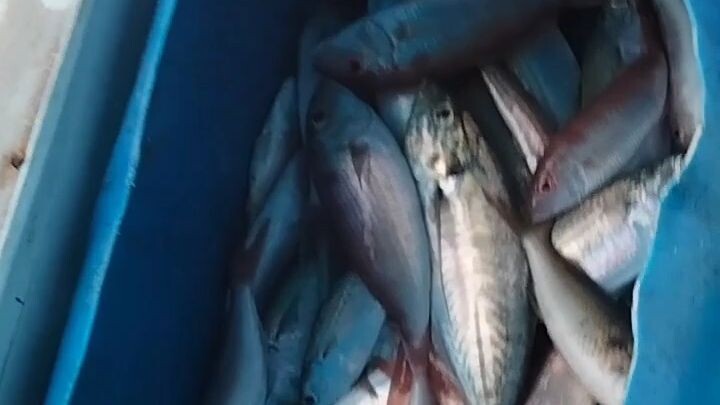 selesai mancing
