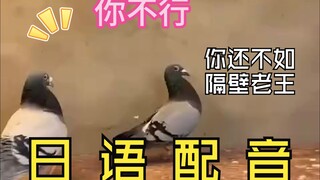 【Dubbing bahasa Jepang】Merpati yang Tidak Kompeten