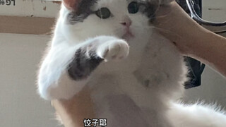 有妈的孩子像个宝