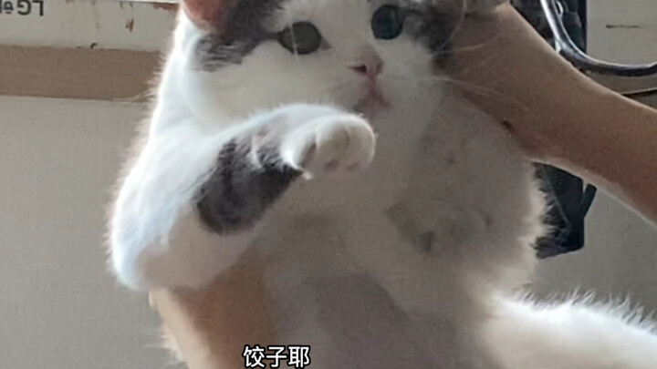 有妈的孩子像个宝