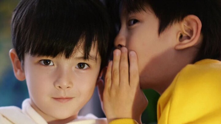 Cute Puppy Brother and Wolf-Dog Younger Brother