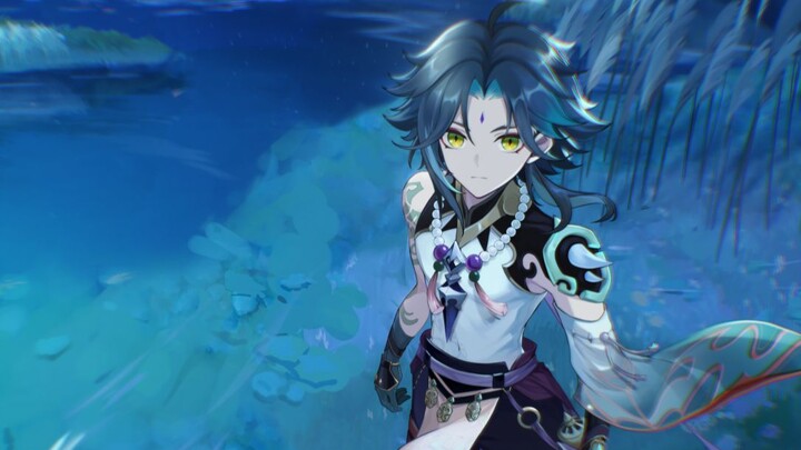 [Genshin Impact] Mandrill fan character PV——⌈Wang Shu Yi Hua⌋