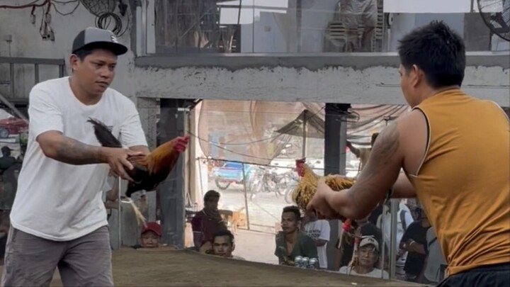 First Fight Draw Golden Boy Sweater dahil sa palong nagantihan