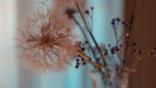 short drama