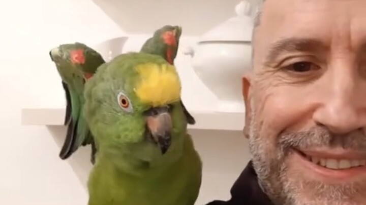 小鸡就这样撒娇