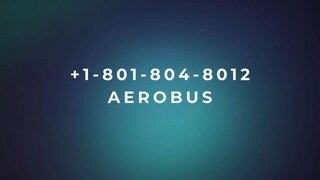 Número de Teléfono de Atención al Cliente de Viva Aerobus® – Guía Completa Paso a Paso 2025