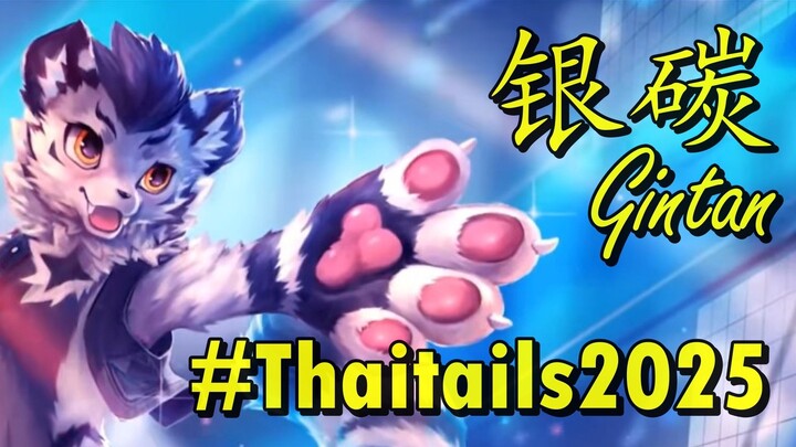 【兽装舞蹈】银碳Gintan - Thaitails 2025