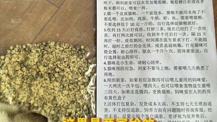 【Đại Hoàng Bò Cạp】Phim mới đã lên sóng, mau đến xem nào!