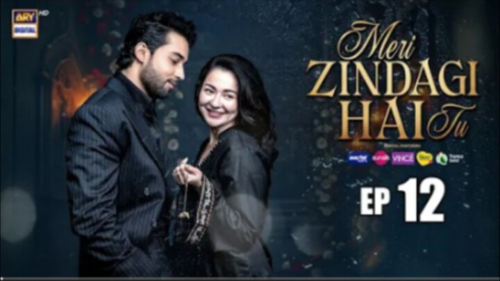 Meri Zindegi Hai Tu episode 12