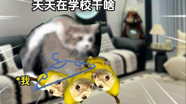 Dòng máu 8