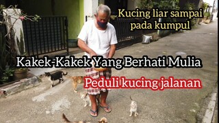 Kucing-Kucing Liar Ini Bergantung Hidup Dengan Kakek-kakek Yang Berhati Mulia | Feeding Cats