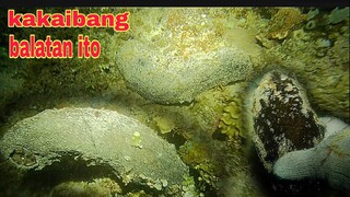 ep341.kakaibang balatan ang unang nagpakita night spearfishing Philippines