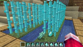 เมื่อไผ่!! กลายเป็นเพชร | Minecraft