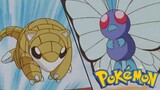 Pokémon Tập 8: Đường Đến Giải Liên Đoàn Pokémon (Lồng Tiếng)
