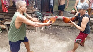 Jan 19 2025 Labas pitaka