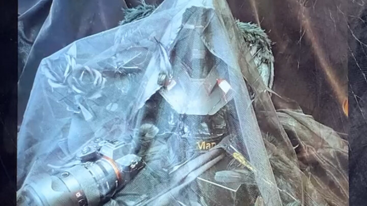 Bạn đã từng thấy màu đen rực rỡ đủ sắc màu chưa?