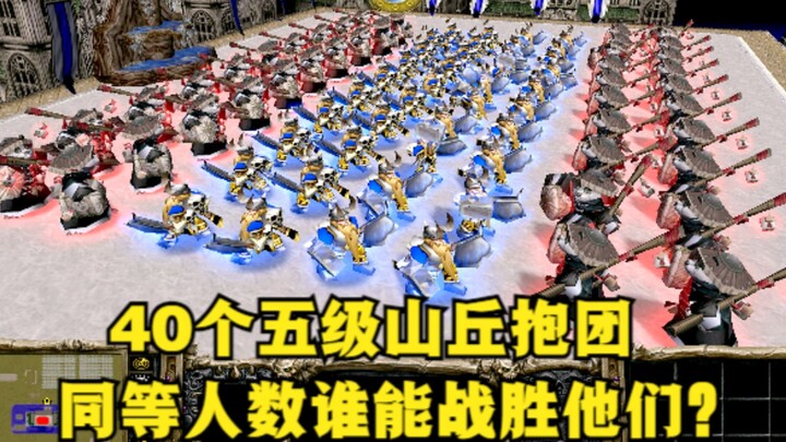 “Warcraft III”, 40 bukit level 5 bergerombol menyerang—dengan jumlah pasukan yang sama, siapa yang b