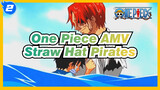 What Kind Of Ending Is The Most Fitting For These Enduring Pirates Straw Hat Pirates_2