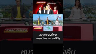 หมาเห่าหอนทั้งคืน ฉายหนังกลางแปลงให้ผีดู