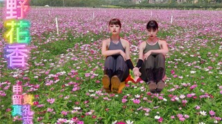 【盗版】申留真＋黄礼志 野花香 双人舞蹈公开