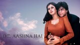 Dil Aashna Hai (1992) Subtitle Indonesia