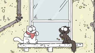 【西蒙的猫】 泰迪的故事