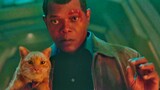 Nick Fury: I'm not as dangerous as a cat, Mom Fake? !