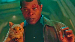 Nick Fury: Aku tidak berbahaya seperti kucing, Bu Palsu? !