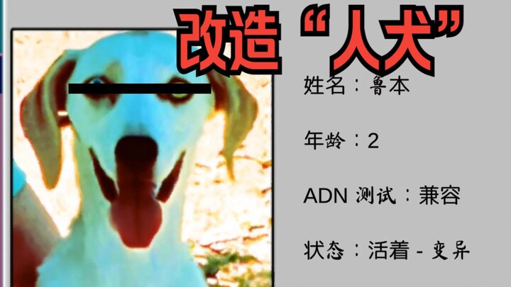 【Ketua Asrama】Hati-hati, Rumah Sakit Hewan Ini Bisa Mengubah Anjing menjadi “Manusia-Anjing”—Proses 