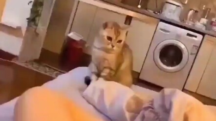 Chân bạn có bị nhiễm điện không?