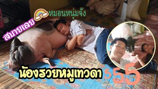 น้องรวยหมูเทวดาเข้ามานอนหลับในบ้าน🐖😴😴