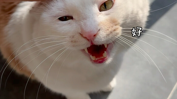 Tahun ini, hanya karena satu kalimat “Kenapa?” sudah terjadi begitu banyak kisah…