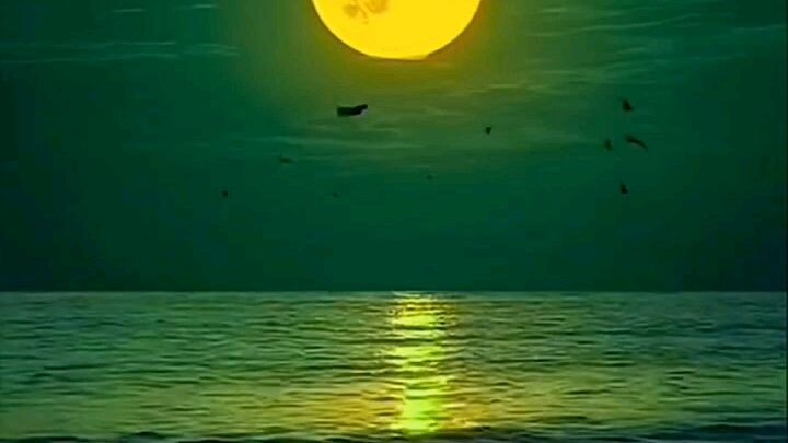 INSTRUMEN BIOLA SEDIH DENGAN PEMANDANGAN BULAN PURNAMA DAN ALAM YANG INDAH