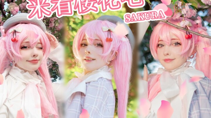 ( ＞◡❛)Tell me，你喜欢看樱花吗？