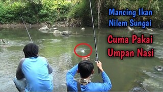 Mancing Ikan Nilem Sungai Pake Umpan Nasi, Hasilnya MELEM MANGUT BROO