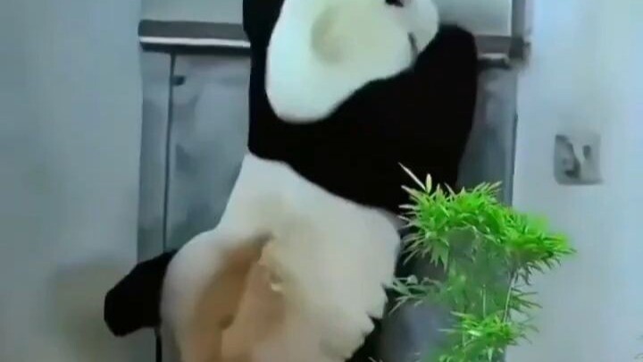 Thêm một giây cũng là thiếu tôn trọng người đi làm!
