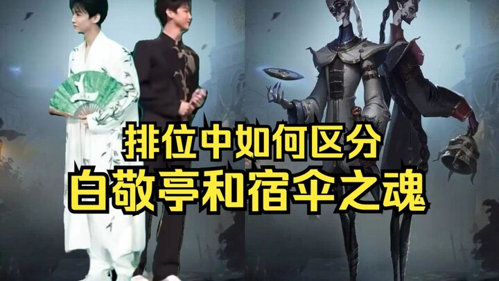 Những kiến thức ít người biết về Túc Tán mà ngay cả “Vua Ô” cũng không hay: Làm sao phân biệt Bạch K