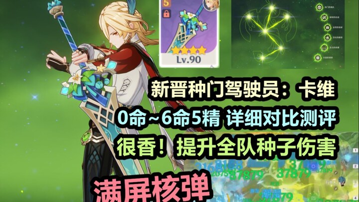 【غينشين إنتراكتيون】 كافي: سائق جديد من فئة 4 نجوم لبوابة البذور، قوي جدًا! يعزز أضرار البذور للفريق 