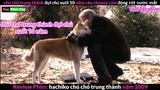 rớt nước mắt với Chú Chó Trung Thành - review phim chú chó trung thành