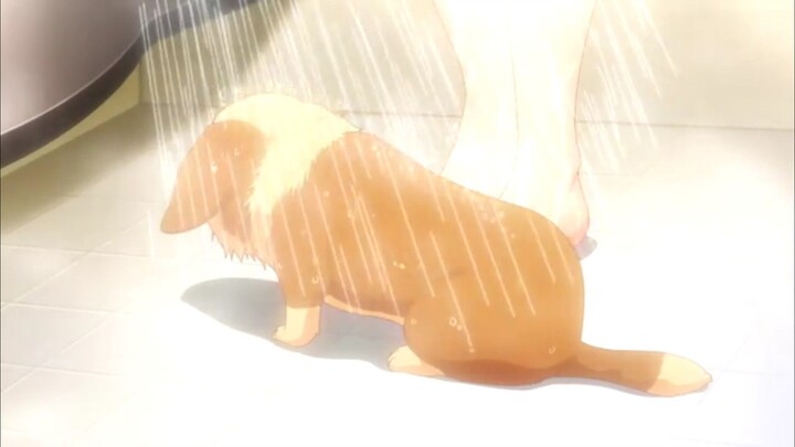 Kutukan diciptakan oleh dewa kecil kesepian, untuk belajar cinta🤤