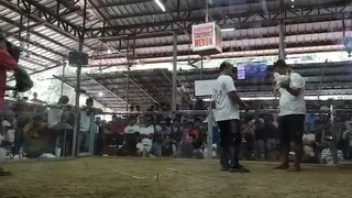 ONE HIT DELETE | FASTEST WIN EVER | CHAMPION ANG ATING PANGASINAN BUYER WHITE SWEATER ANG GAMIT