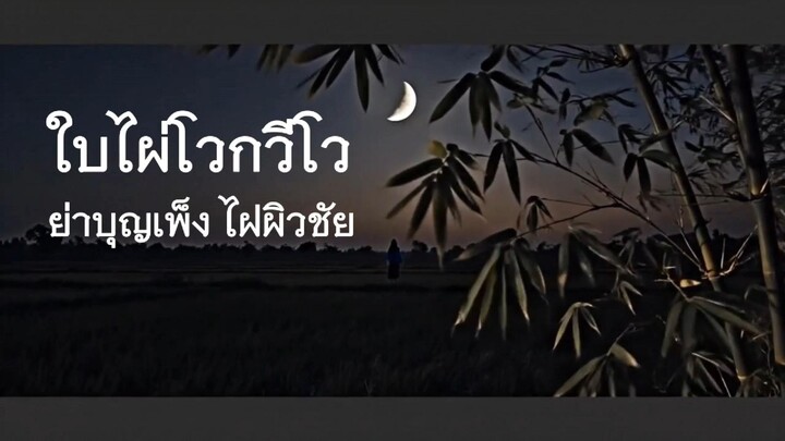 ใบไผ่โวกวีโว  竹葉在風中搖曳。