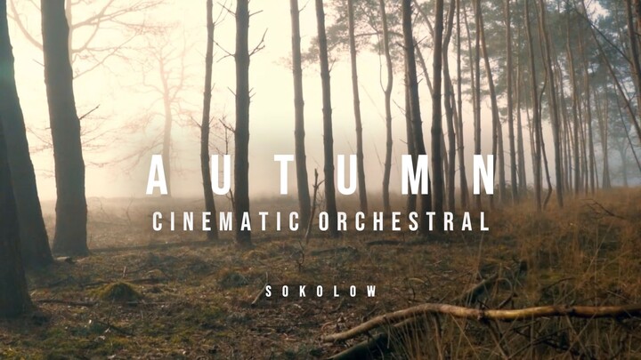 Autumn · cinematic orchestral | SOKOLOW
