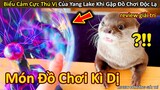 Biểu cảm Siêu Đáng Yêu của Yang Lake khi bắt gặp Đồ Chơi Kì Dị || Review Giải Trí Đời Sống