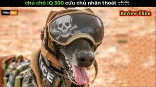 chú chó IQ 300 cứu chủ nhân thoát ch.ét - Review phim Arthur The King
