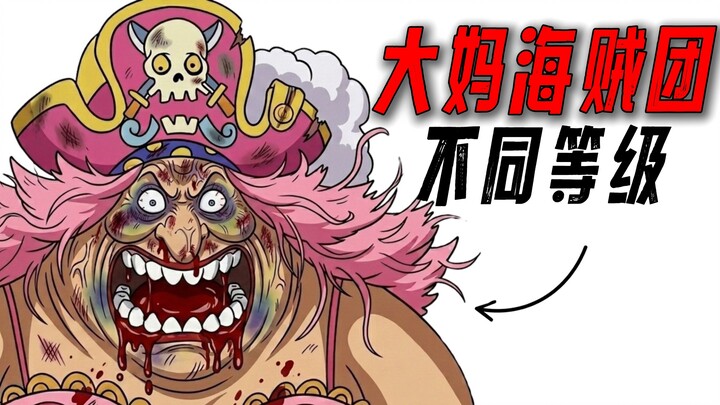 Experience life at different ranks within the Big Mom Pirates!
