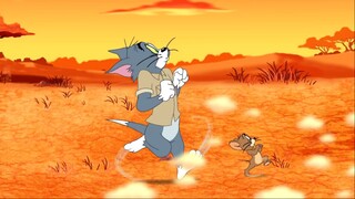 34.Tom and Jerry Hd Collection.