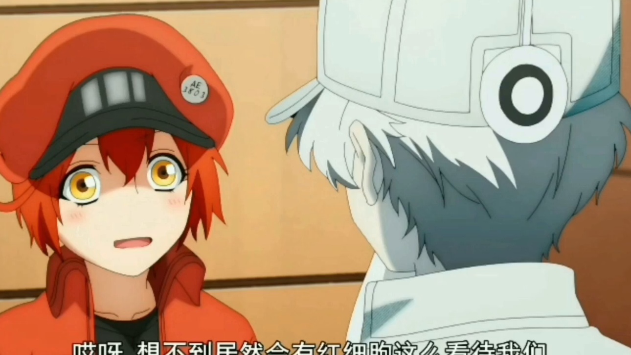 11] Hataraku Saibou (Cells at Work!) DUB INDO - BiliBili