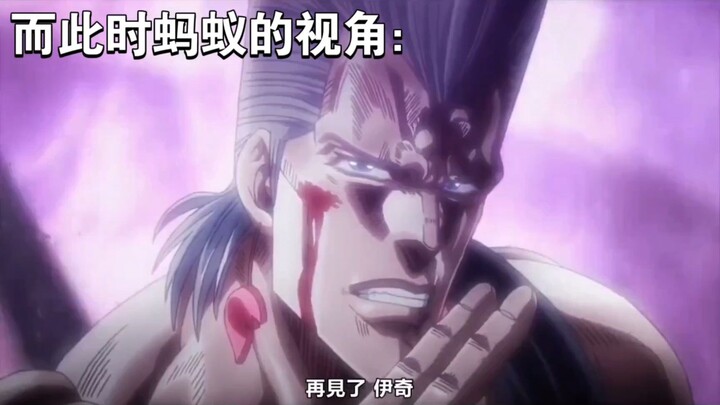 而此时蚂蚁眼中
