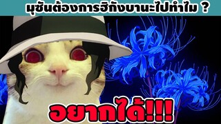 อดีตเบื้องหลังของมุซัน ราชาเเห่งอสูร ต้องการดอกฮิกังบานะสีน้ำเงินไปทำไม ?